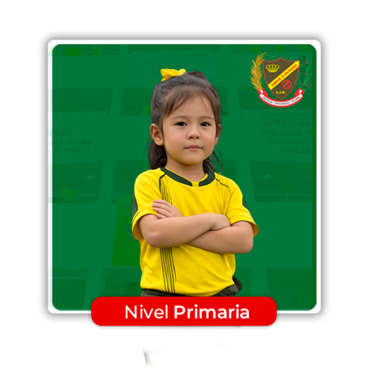 NIVEL PRIMARIA